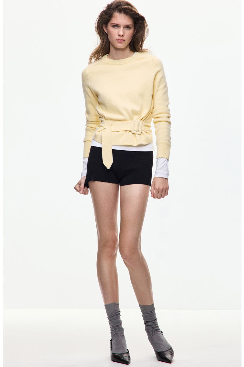 Belted Sweater, Alternate, color, PASTEL YELLOW