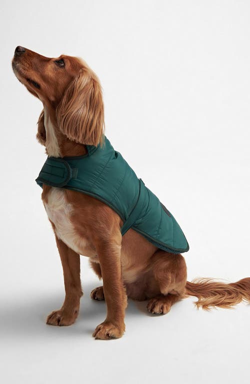 Barbour Baffle Quilted Dog Coat In Green