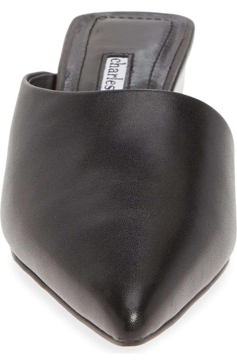 Charles David Proven Mule, Alternate, color,