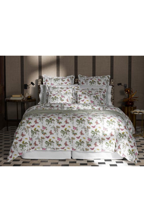 Matouk Baudin Butterfly Print 500 Thread Count 2-pack Pillowcases In Baudin Butterfly Pink