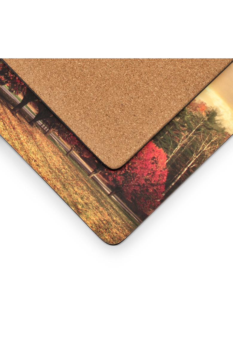 Crimson Trees Set of 4 Cork Back Placemats, Alternate, color, Multi