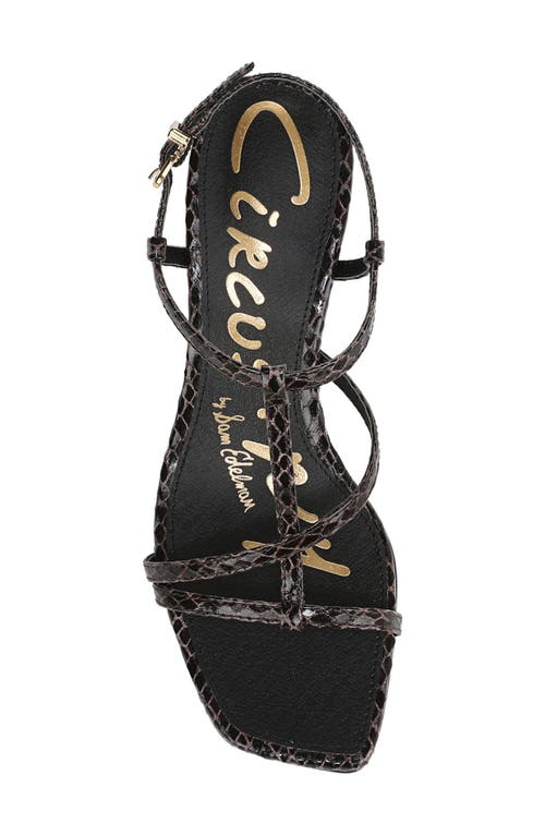 Circus Ny By Sam Edelman Jaida Snakeskin Embossed Strappy Sandal In Black