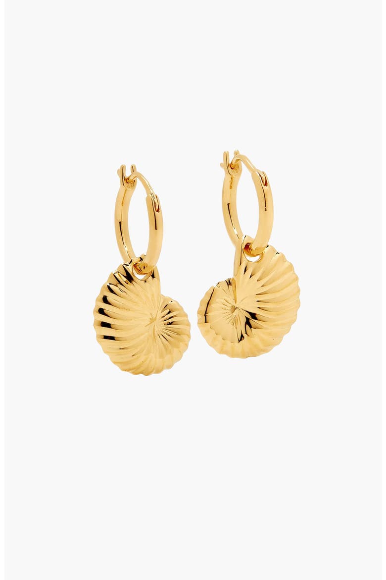 Moro Charm Hoop Earrings In Gold, Main, color, Gold