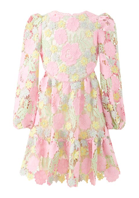 Estella Embroidered Mini Dress (Toddler, Little Kid & Big Kid)