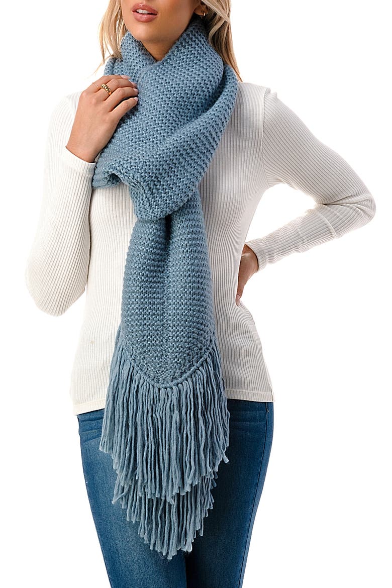 Fringe Trim Knit Scarf, Main, color, BLUE