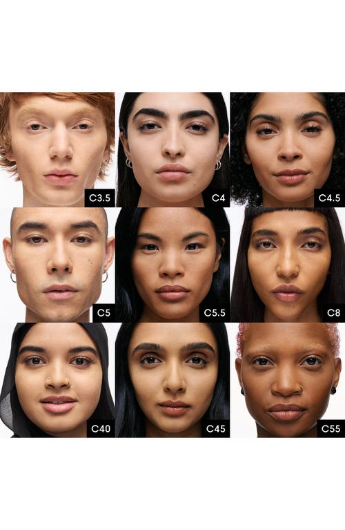 MAC COSMETICS MAC COSMETICS STUDIO FIX POWDER PLUS FOUNDATION