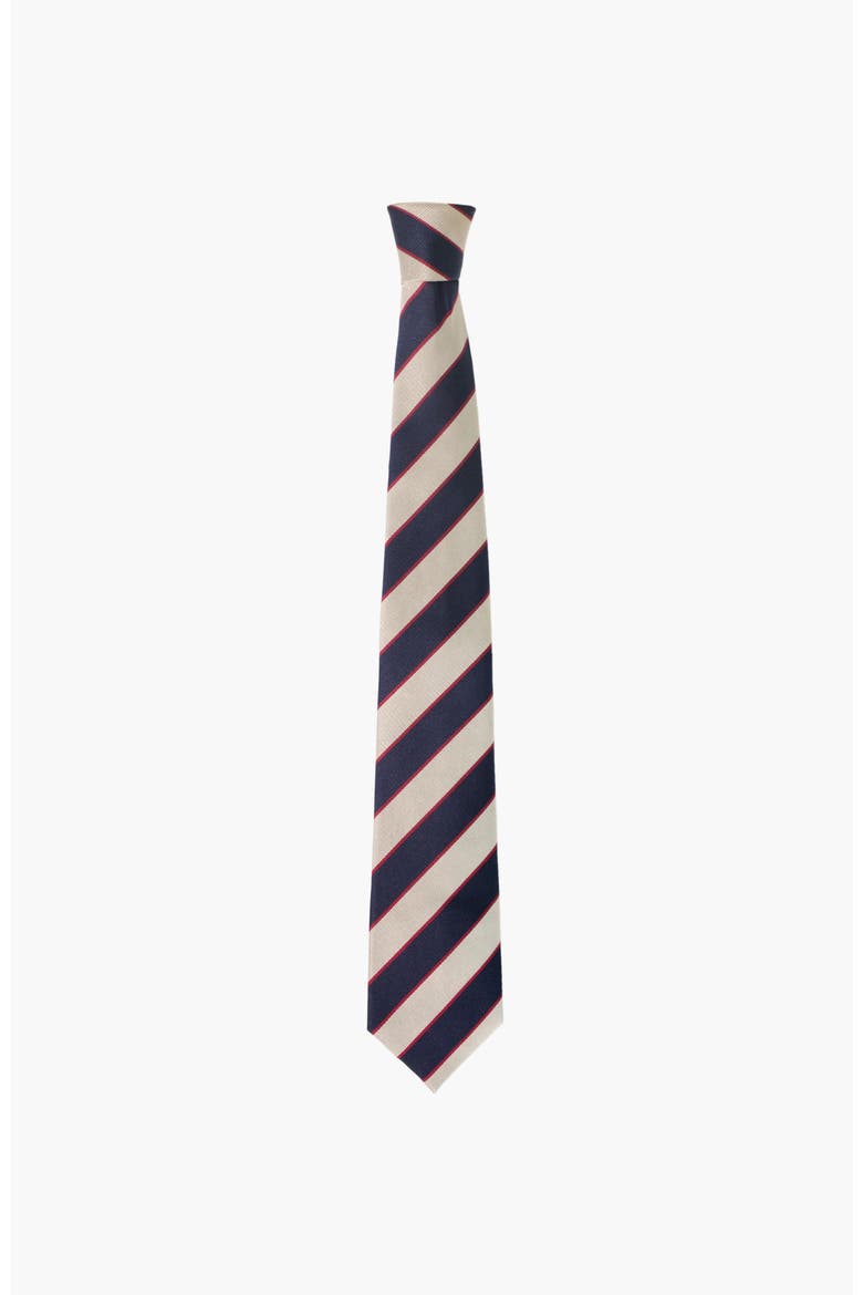 Striped Silk Tie, Main, color, Navy Stripe