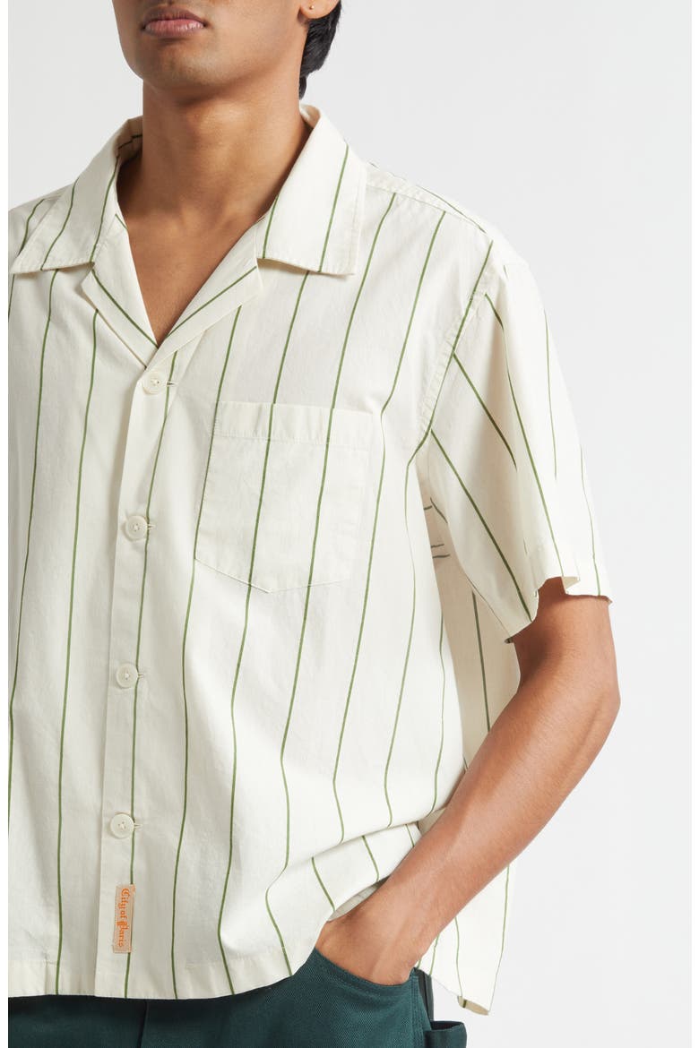 Celery Stripe Short Sleeve Cotton Button-Up Shirt, Alternate, color, GREEN CREAM
