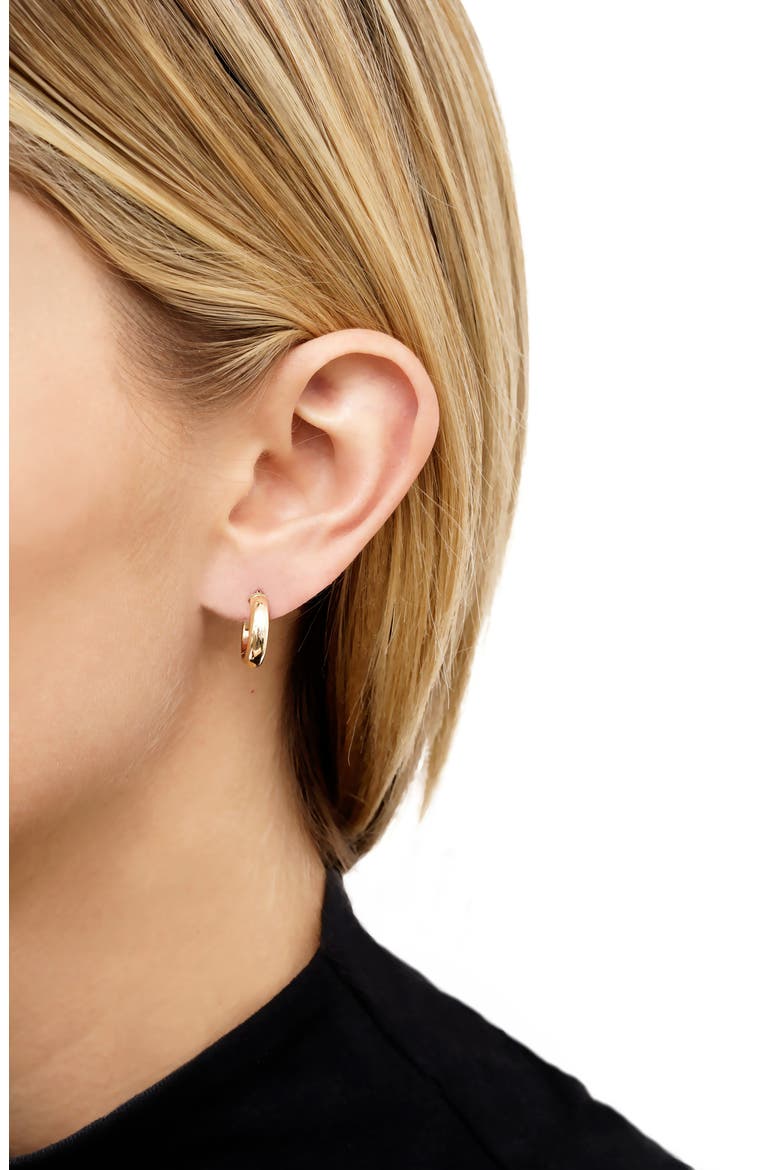 Luxe 14K Gold Hoop Earrings (Nordstrom Exclusive), Alternate, color, YELLOW GOLD