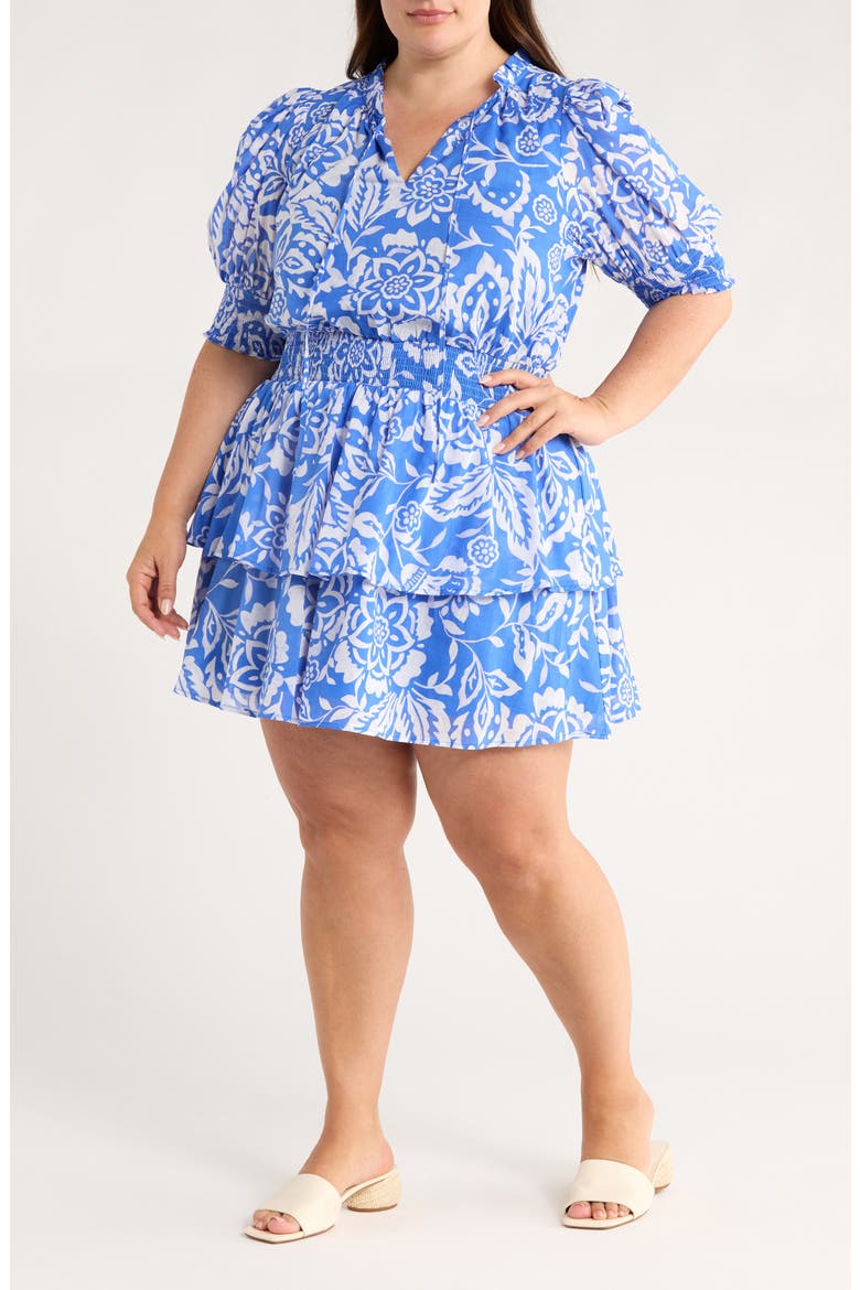 Marny Floral Rai Ruffle Cotton Dress, Main, color, BLUE/ WHITE