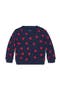 selected Navy Mini Lollipop Hearts