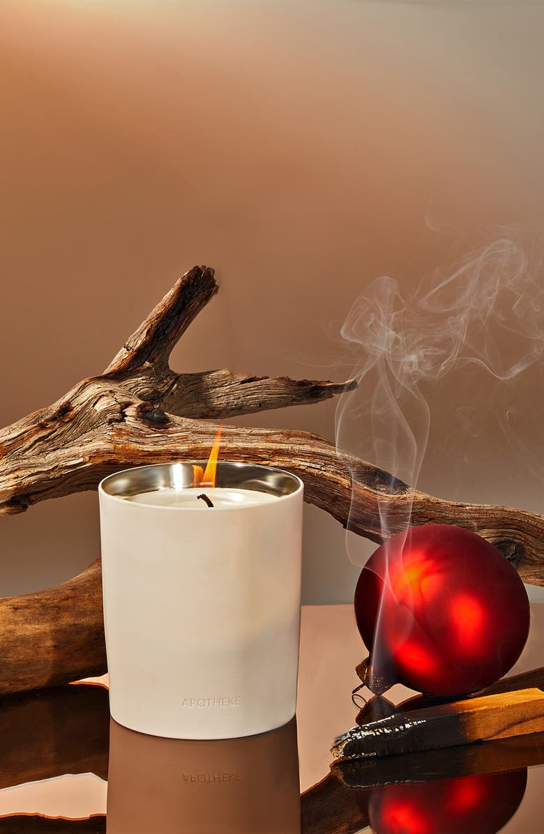 APOTHEKE Ceramic Scented Candle, Alternate, color, Firewood