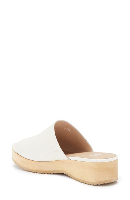 Eileen Fisher Novel Platform Slide Sandal In Bone