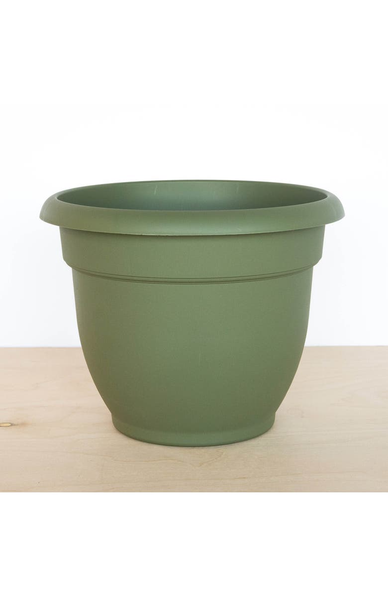 Bloem 12 Inch Ariana Pot Planter,  Living Green, Alternate, color, Green