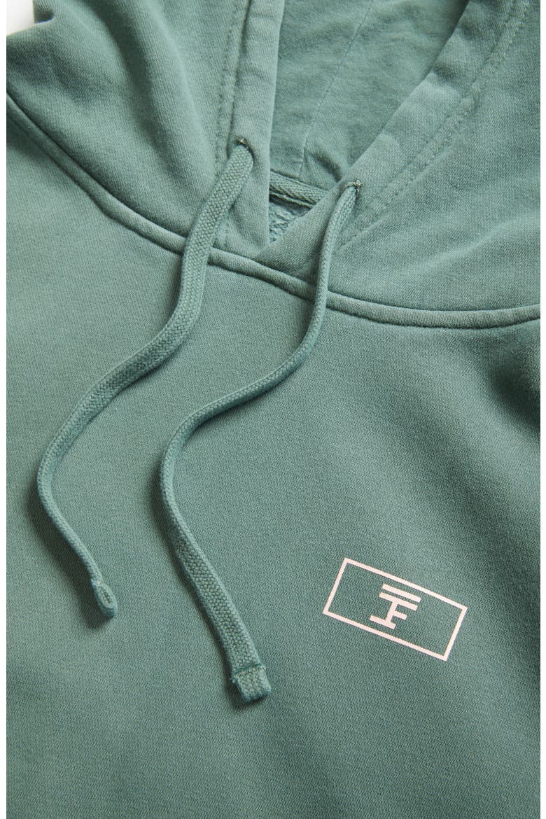 Logo Cotton Hoodie (Nordstrom Exclusive), Alternate, color, SAGE