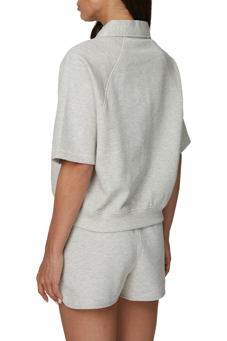 Boxy-Fit Raglan Sweat Polo, Alternate, color, Grey