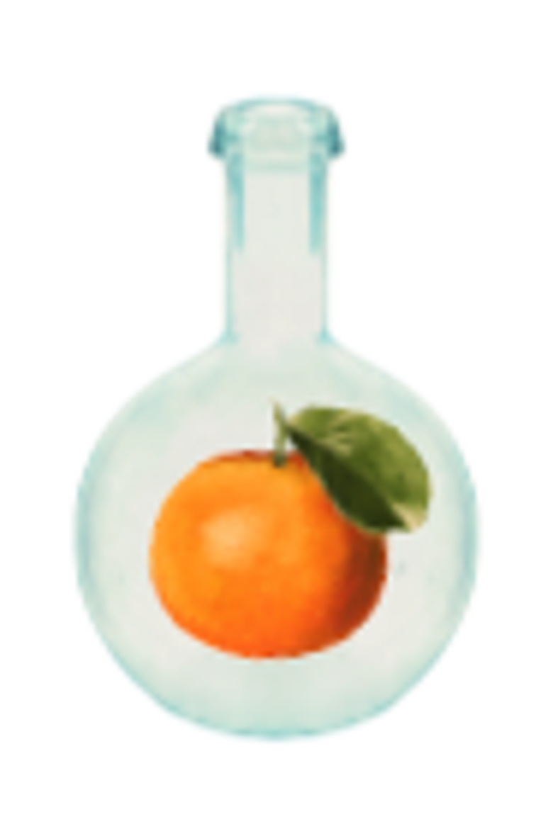 Citrus Brasilis Eau de Parfum, Alternate, color, Clear