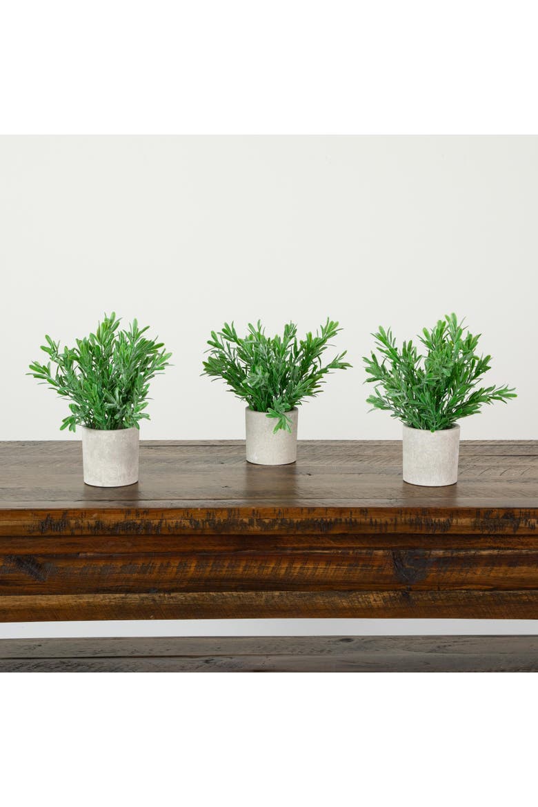 8-in Artificial Grass Plant in Decorative Planter - Set of 3, Alternate, color, Green