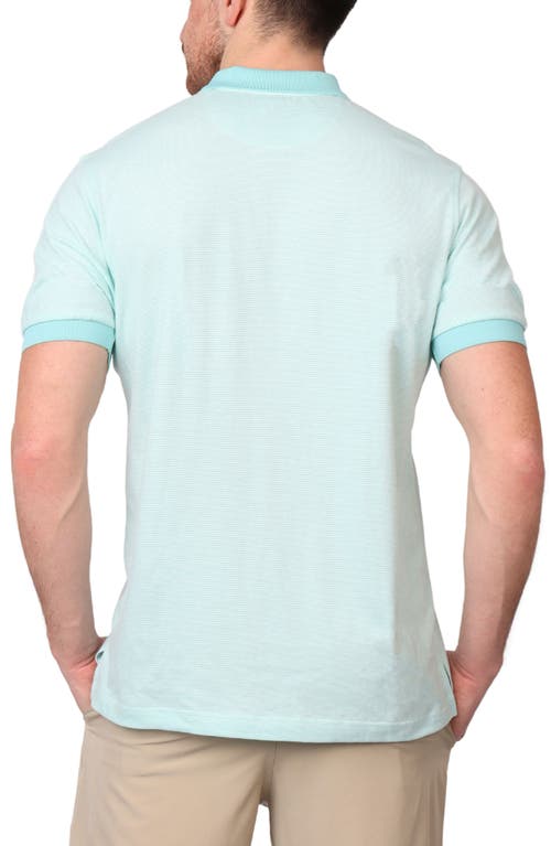 Tailorbyrd Supersoft Stripe Yarn Dye Polo In Spearmint