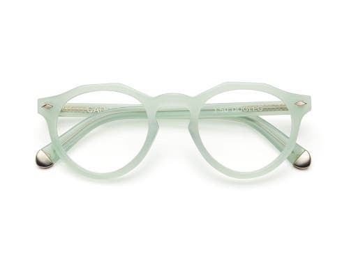 Shop Caddis Dogleg | Reading Glasses