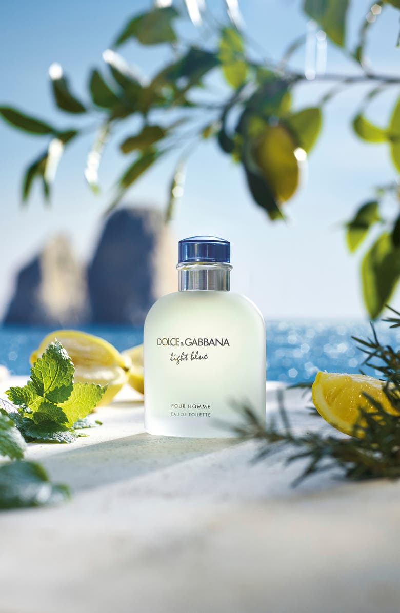 Dolce&Gabbana Light Blue pour Homme Eau de Toilette, Alternate, color, 