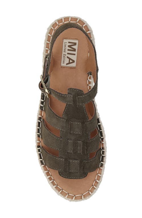Shop Mia Limited Edition Danette Platform Gladiator Sandal In Khaki