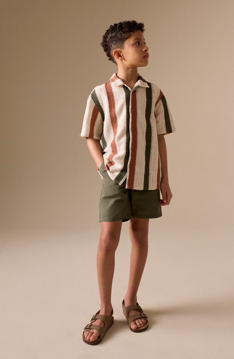 NEXT Kids' Textured Stripe Camp Shirt, Alternate, color, Print