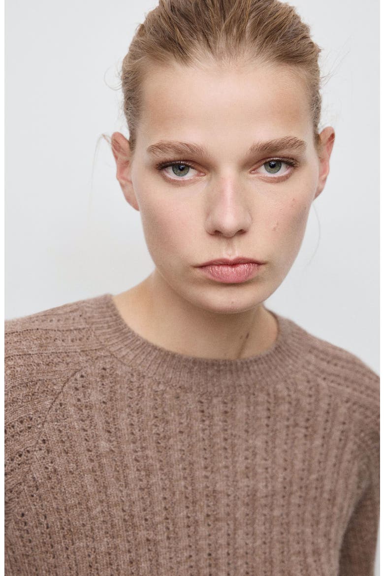 Pointelle Crewneck Sweater, Alternate, color, BROWN
