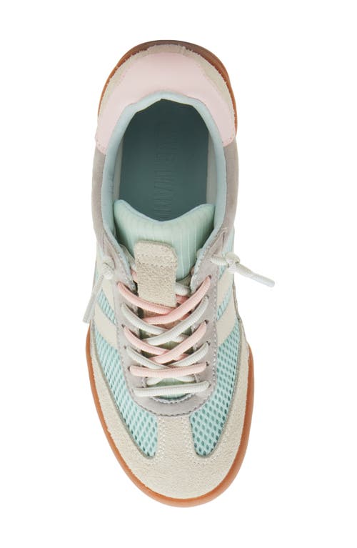Steve Madden Verdict Mesh Sneaker In Turquoise