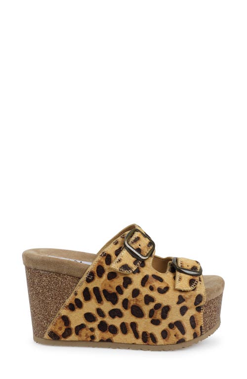 Zigi Genuine Calf Hair Platform Wedge Sandal In Multi