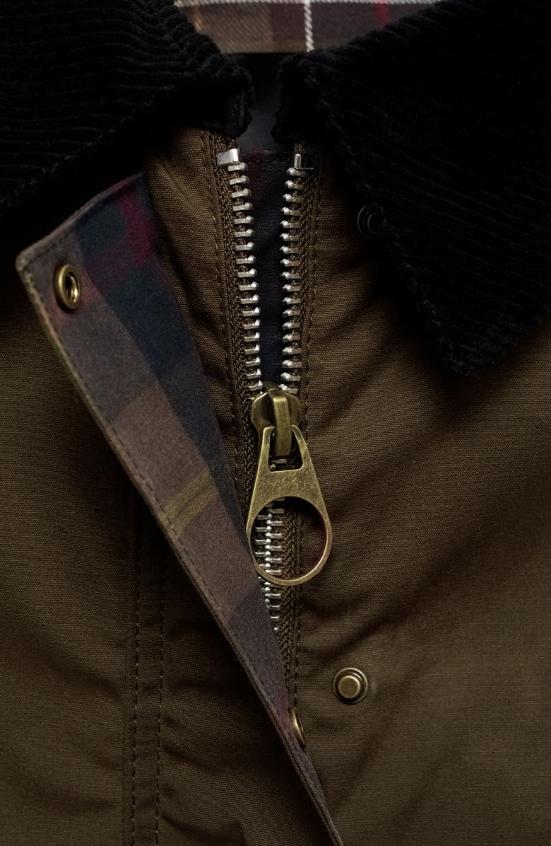 MANGO Corduroy Collar Waxed Effect Oversize Jacket, Alternate, color, Brown