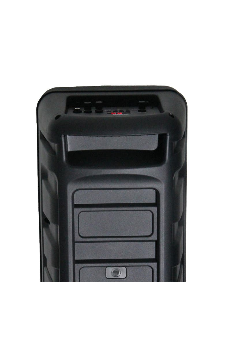 Dual 8 Inch Portable Bluetooth Speaker, Alternate, color, Black