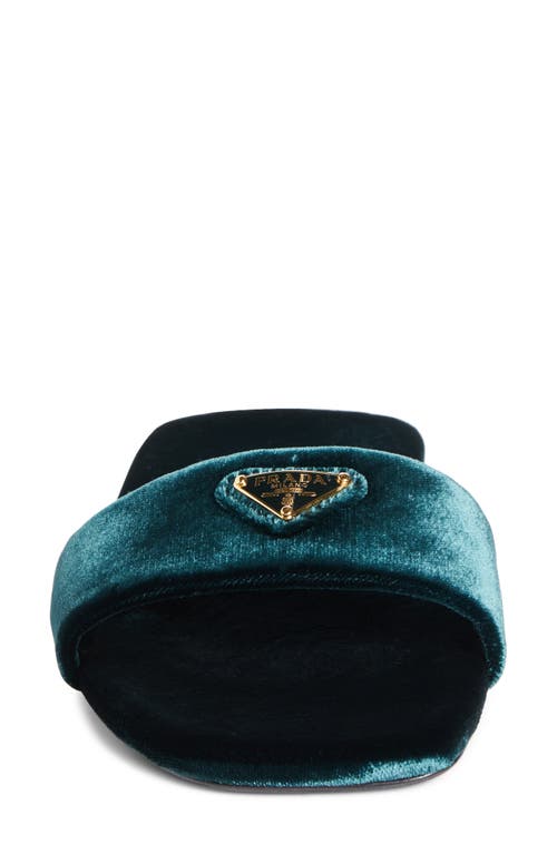Shop Prada Logo Velvet Slide Sandal In Bottiglia