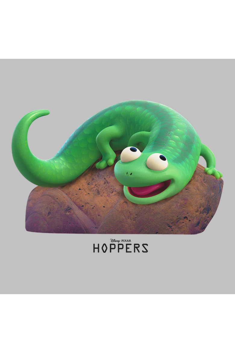Women's Hoppers Tom Lizard on a Rock  Graphic T-Shirt, Alternate, color, Athletic Heather