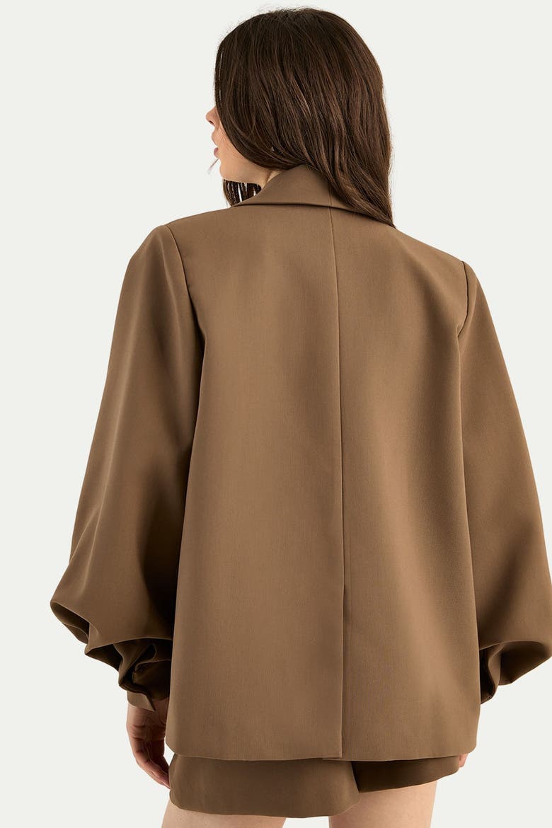 Tailored Oversized Balloon Sleeve Blazer, Alternate, color, Brown