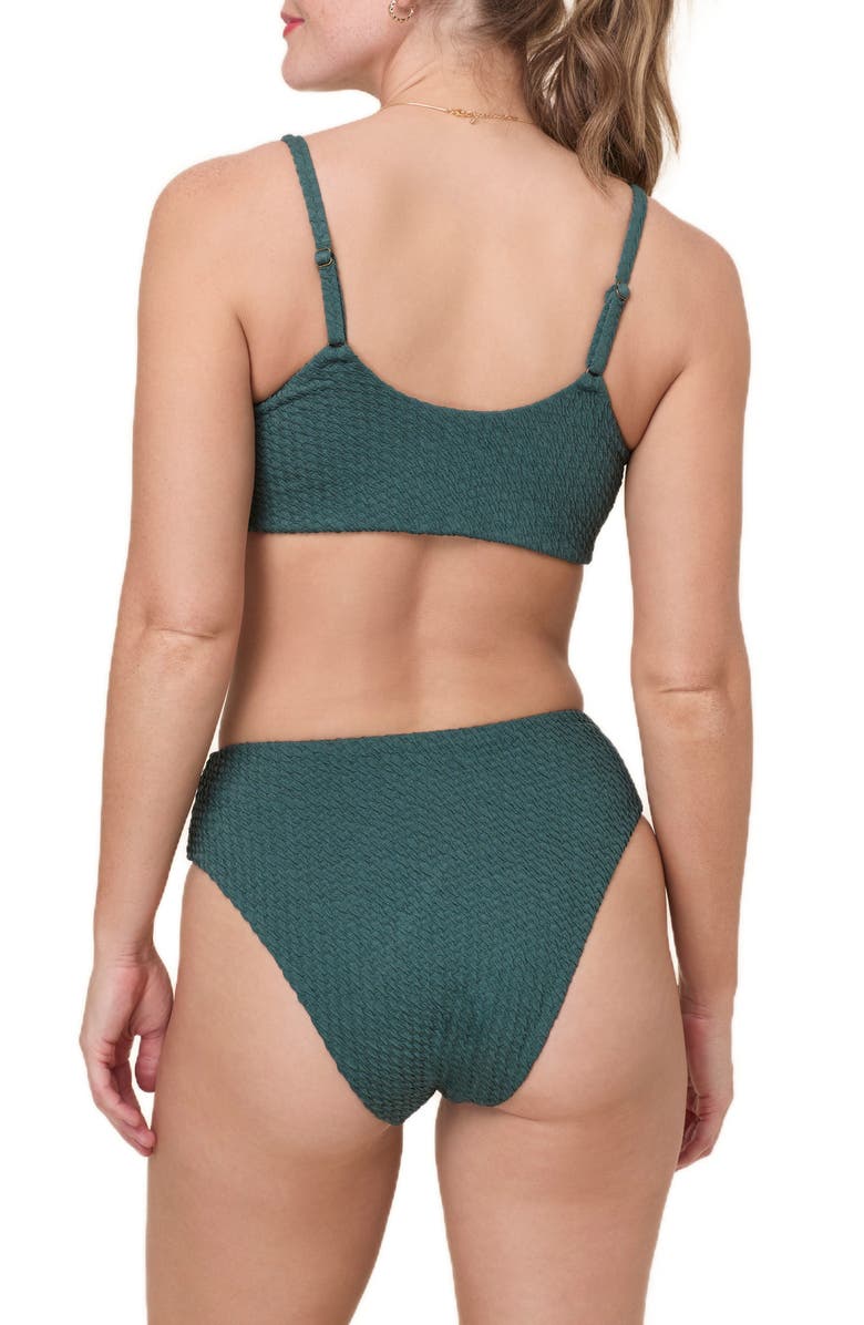 Andie The '90s High Waist Bikini Bottoms, Alternate, color, Seaweed