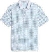 ASHWORTH GOLF All In Polo