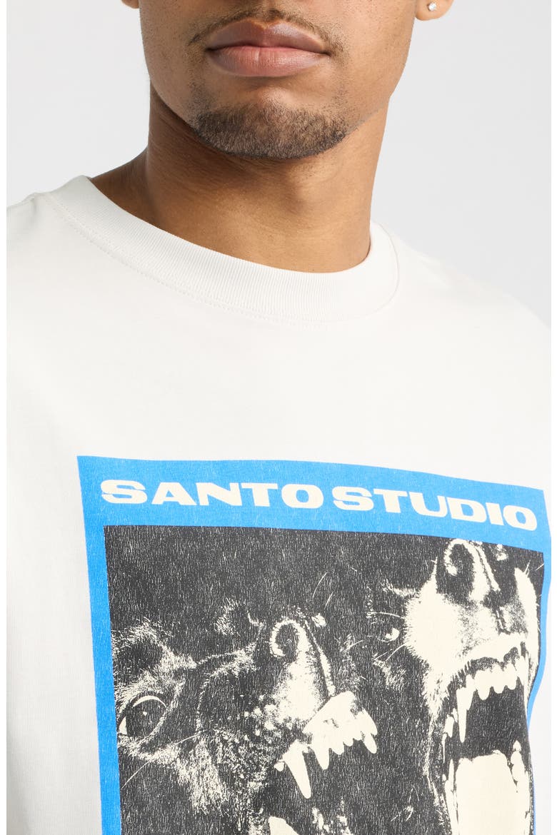 Beware of Frauds Graphic T-Shirt, Alternate, color, FADE GREY