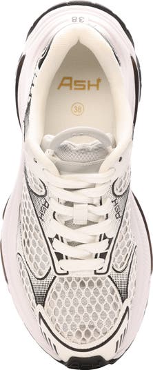 Dragon Sneaker
