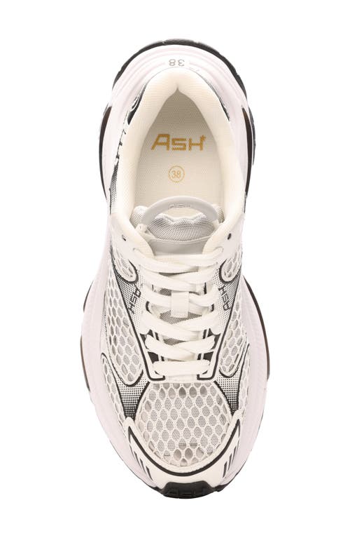 Ash Dragon Sneaker In White/white/dark Silver