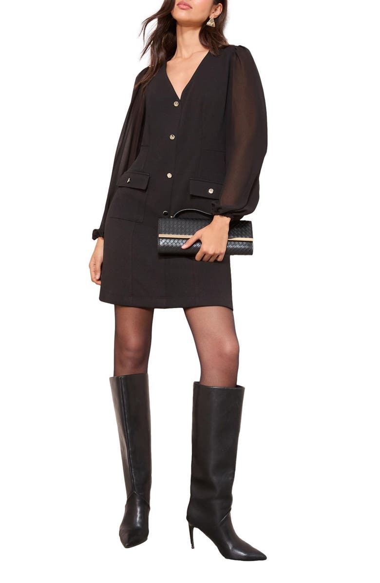 Friends Like These Sheer Long Sleeve Sheath Dress, Main, color, Black