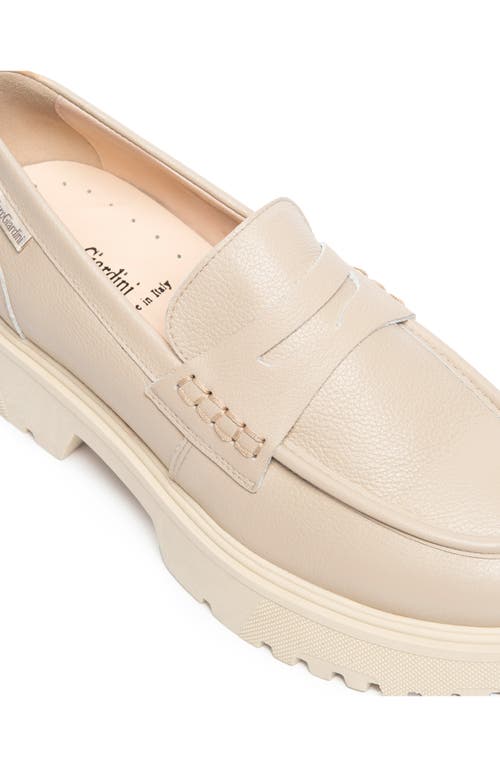 Nerogiardini Lug Sole Platform Loafer In Brown