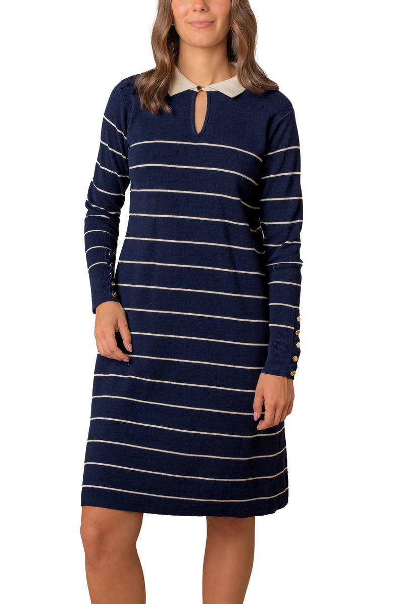 Hope & Henry Organic Long Sleeve Collared Sweater Dress, Main, color, Navy Breton Stripe