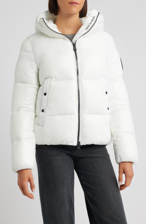 Save The Duck Biddy Water Repellent Hooded Puffer Jacket In White