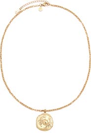 Petit Moments Horoscope Charm Necklace