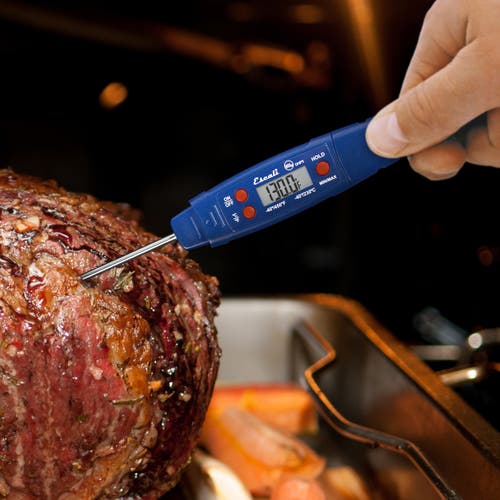 Escali Waterproof Digital Thermometer In Blue