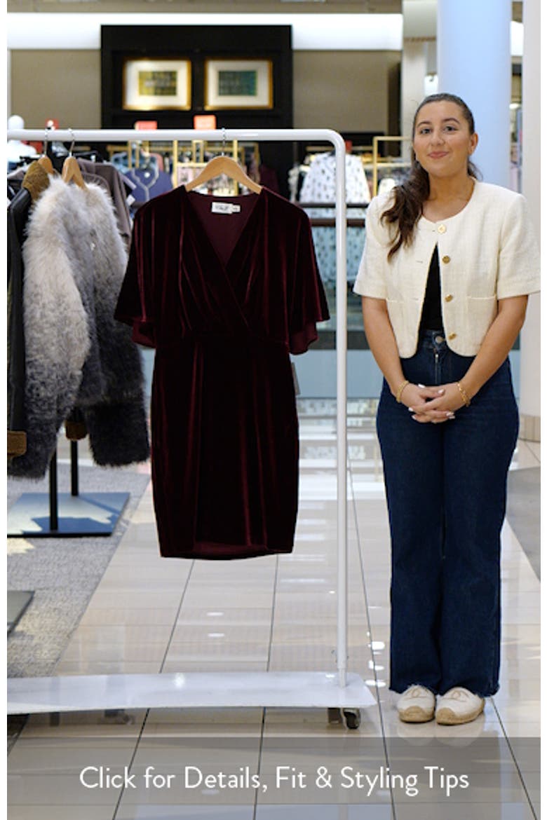 Dolman Sleeve Velvet Sheath Dress video