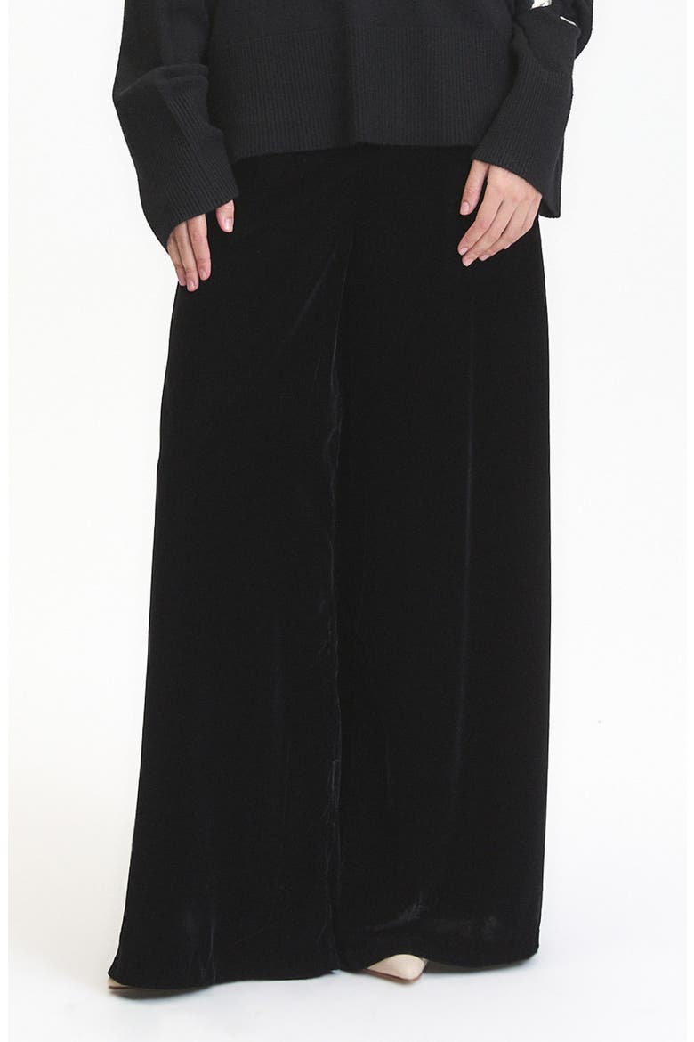 Daisy Velvet Wide Leg Pants, Main, color, BLACK