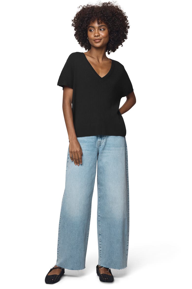 Georgie V-Neck Short Sleeve Rib Sweater, Alternate, color, BLACK