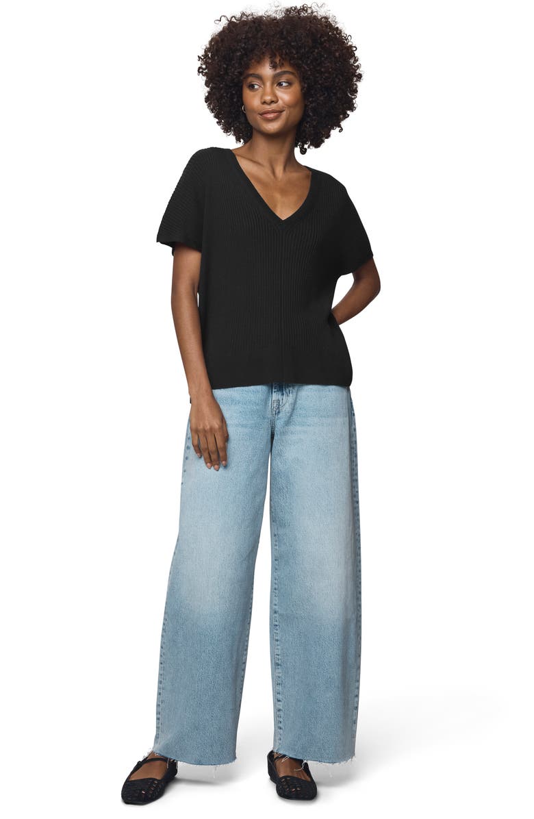 Splendid Georgie V-Neck Short Sleeve Rib Sweater, Alternate, color, Black